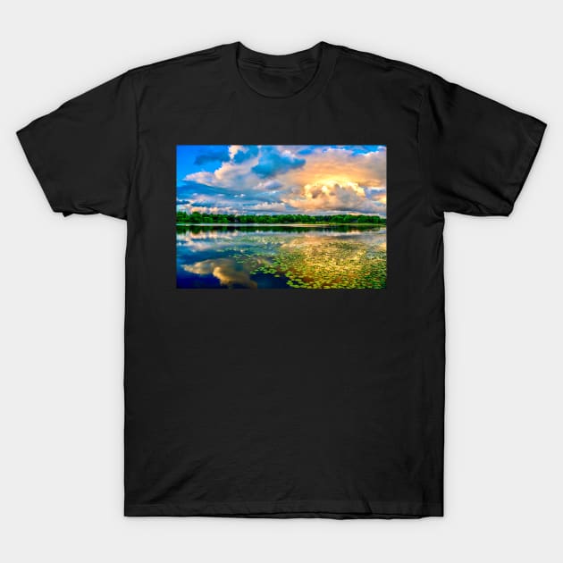 “After the Storm” T-Shirt by Colette22